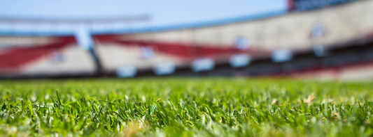 The NCAA Transfer Portal: Good or Bad for College Sports?